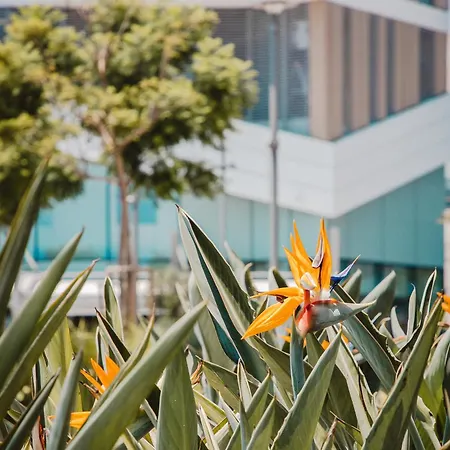 Stunning 1 Bed In Trilogy, Seafront Limassol