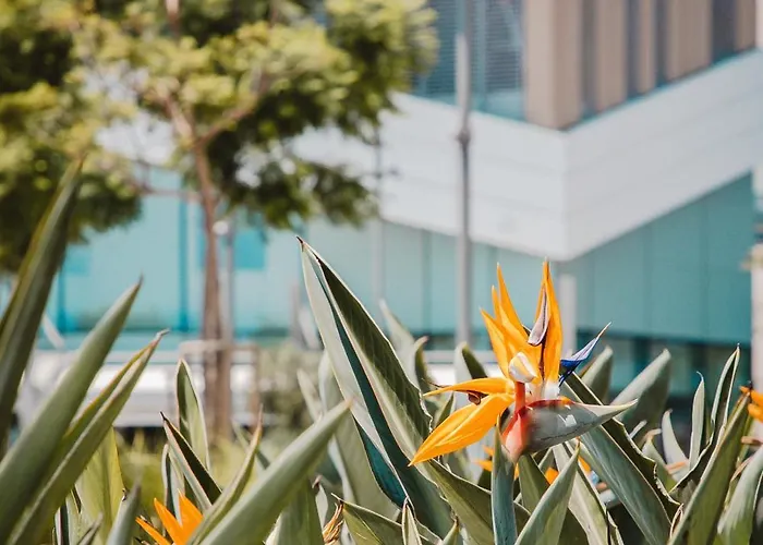 Stunning 1 Bed In Trilogy, Seafront Lemesos